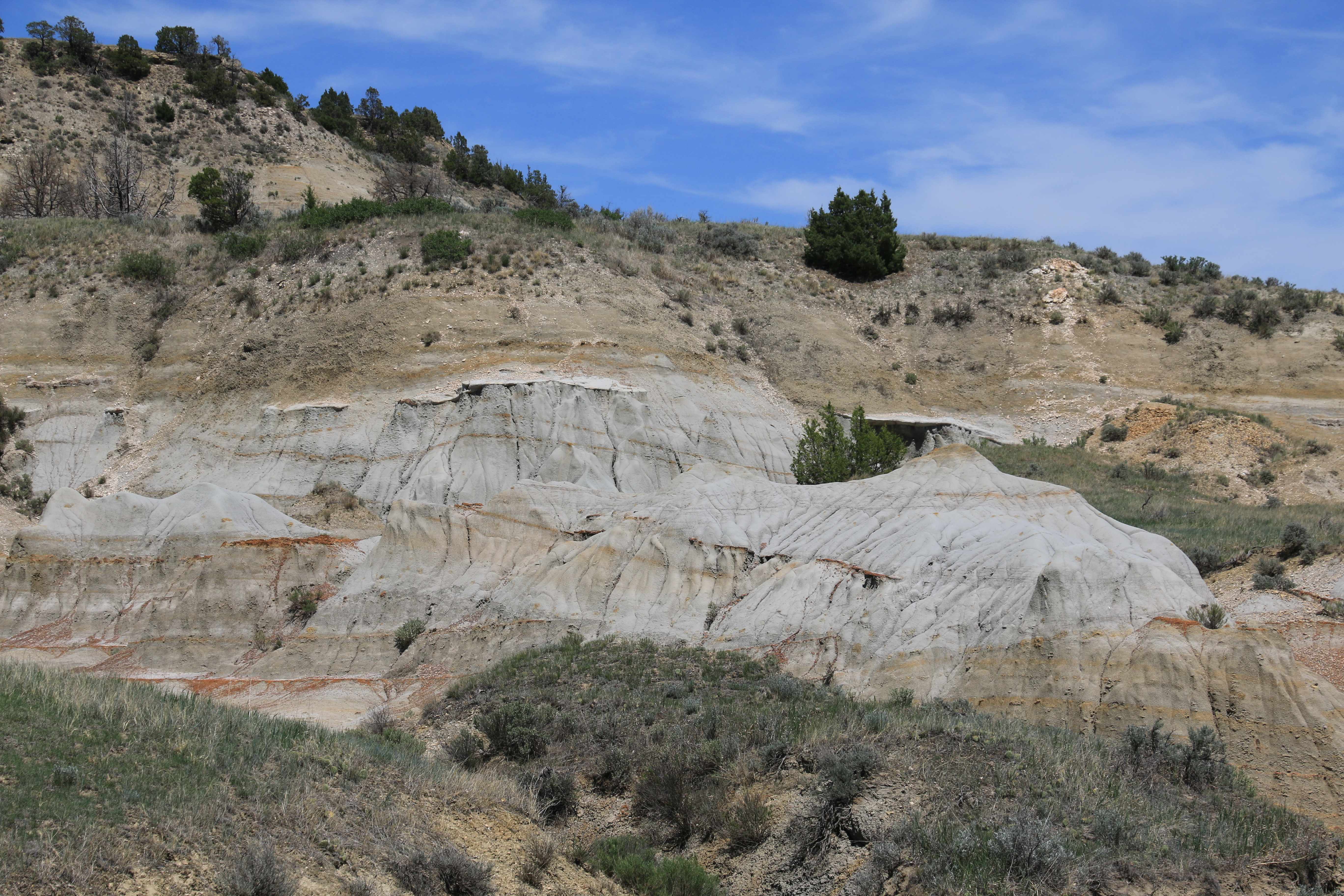 Theodore Roosevelt NP